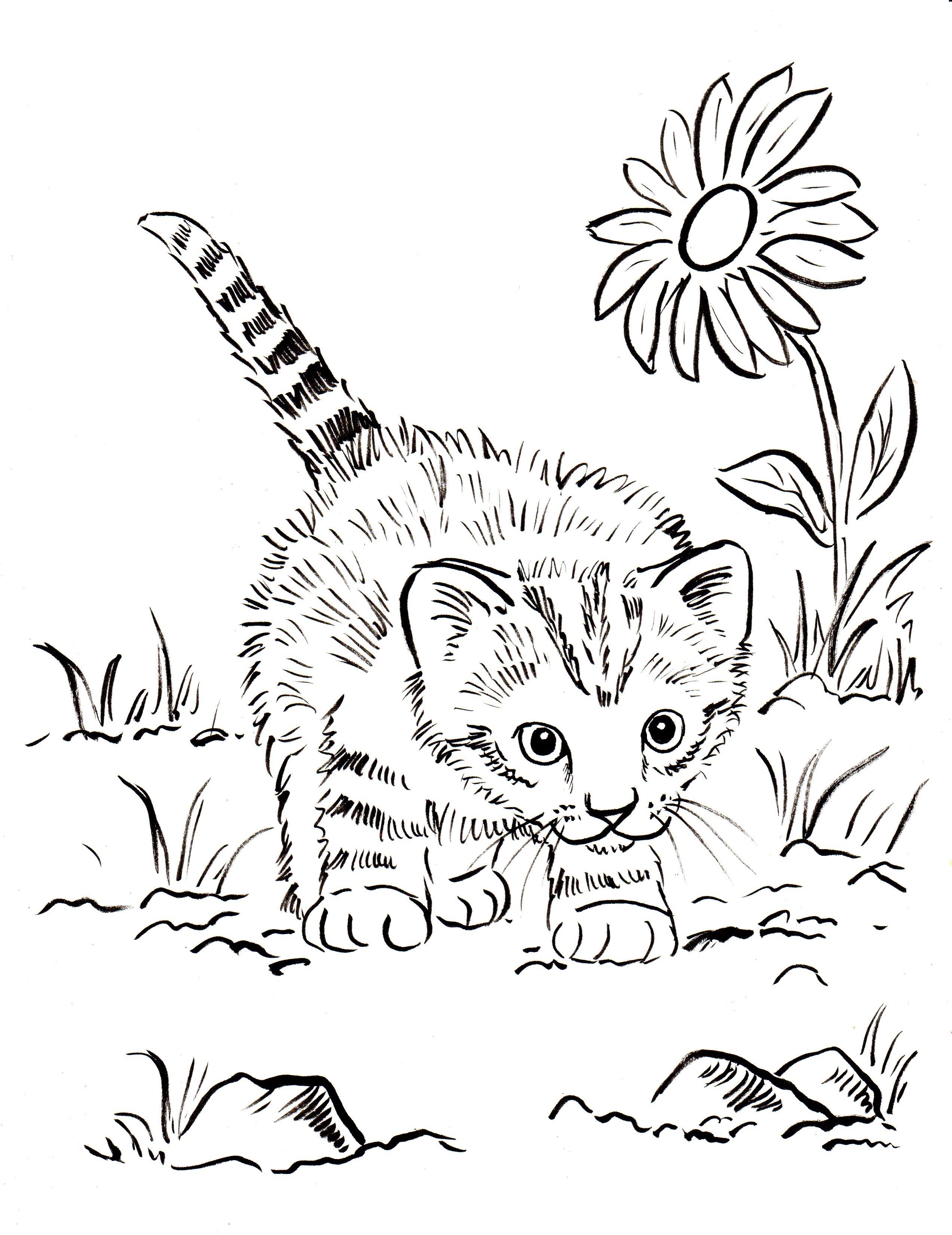 Get 85 Realistic Coloring Page Ideas 38