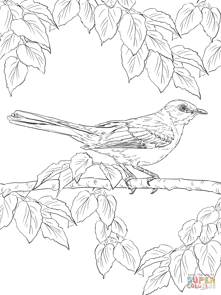 Get 85 Realistic Coloring Page Ideas 57