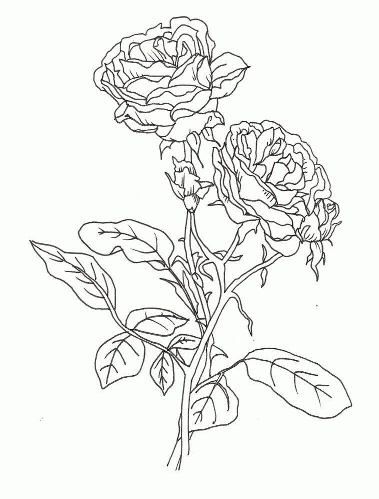 Save 60 Flowers And Roses Coloring Pages Ideas 19