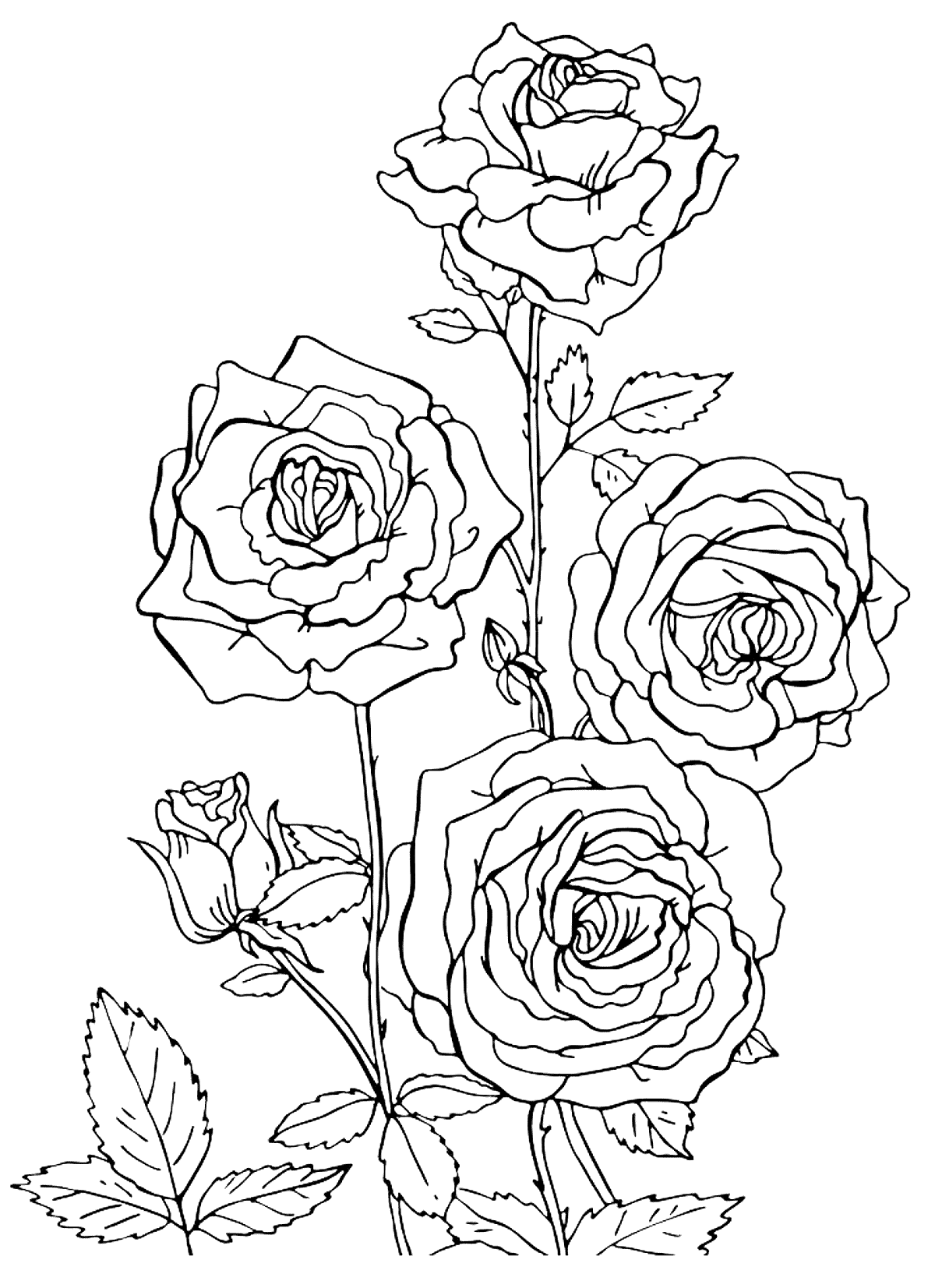 Save 60 Flowers And Roses Coloring Pages Ideas 2