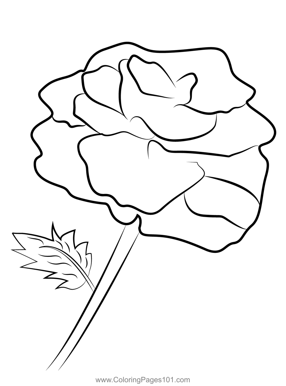 Save 60 Flowers And Roses Coloring Pages Ideas 22