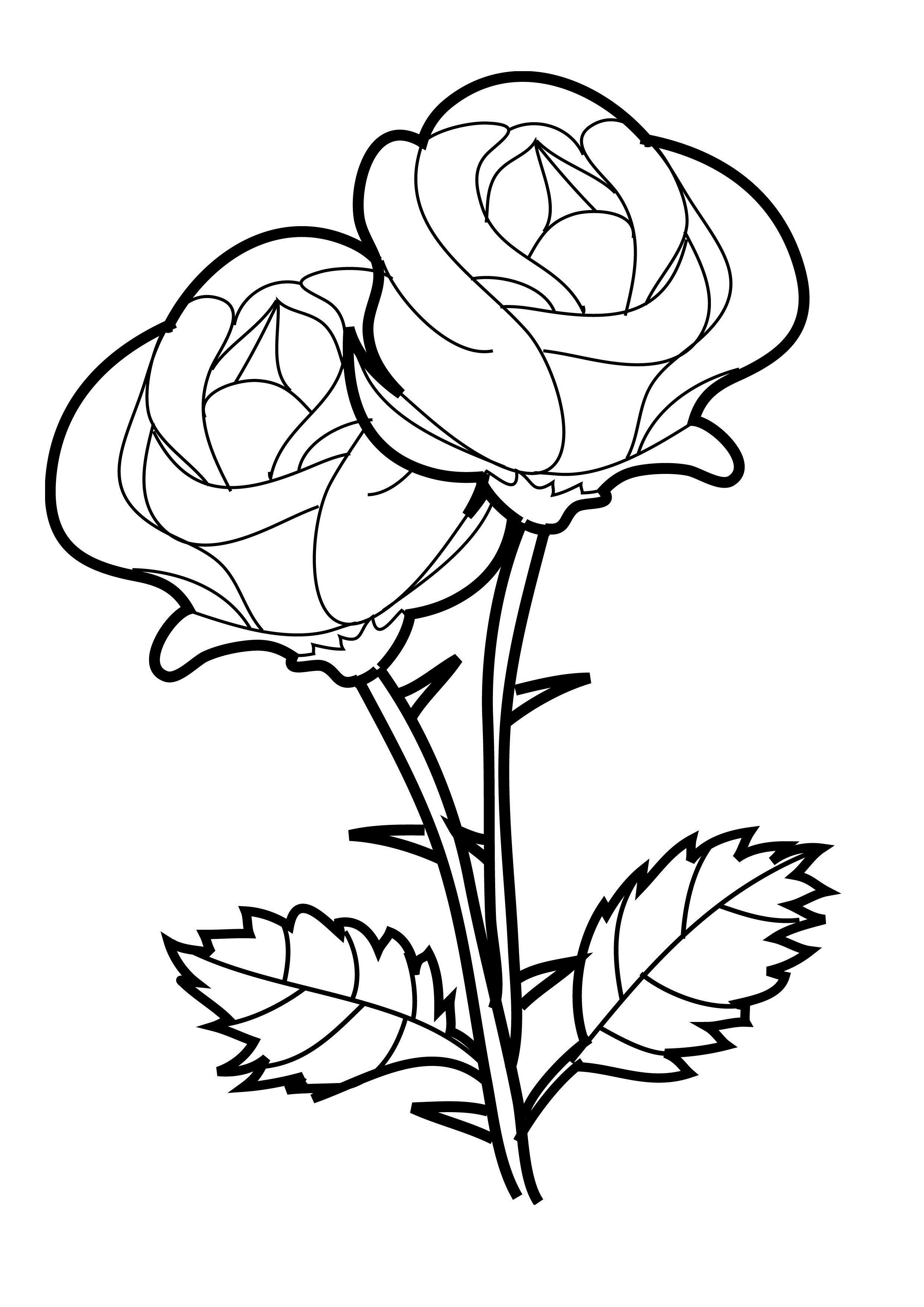 Save 60 Flowers And Roses Coloring Pages Ideas 51